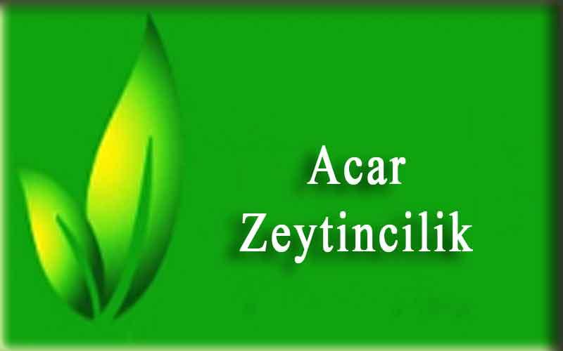 Acar Zeytincilik